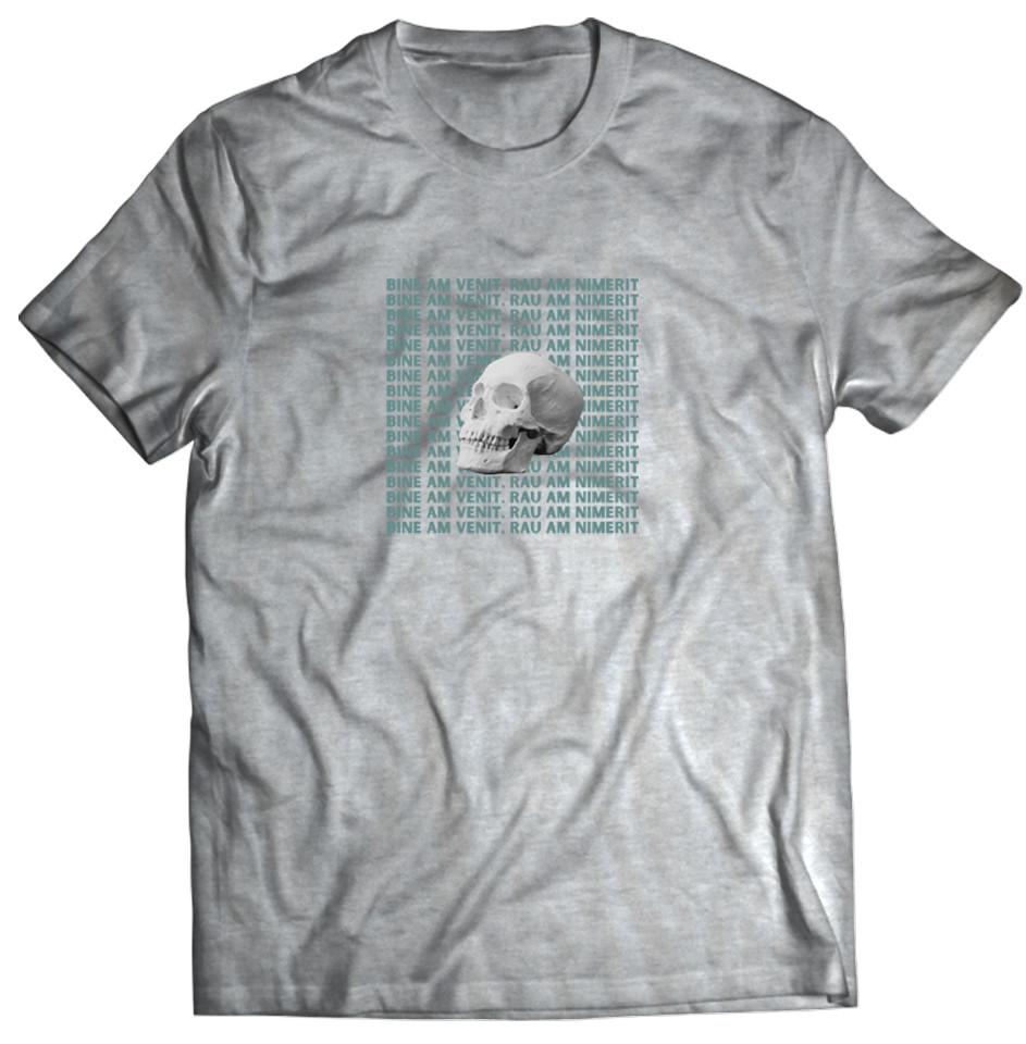 bine-am-venit-rau-am-nimerit-E280A2-tricou2451.jpg