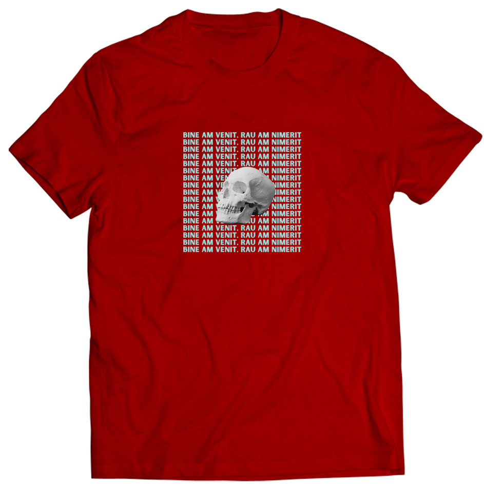 bine-am-venit-rau-am-nimerit-E280A2-tricou2452.jpg