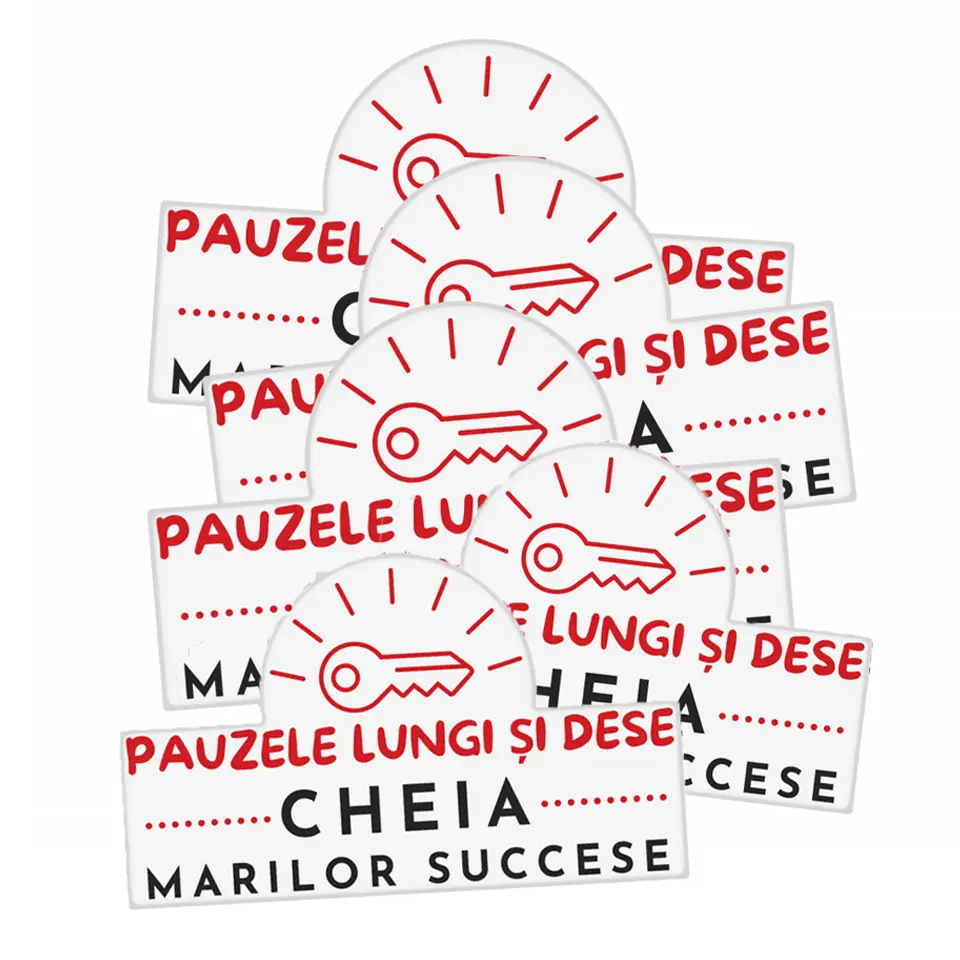 Cheia marilor succese • Stickere